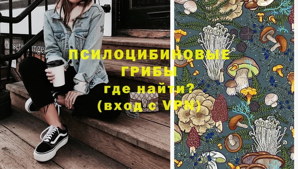 дмт Алексеевка