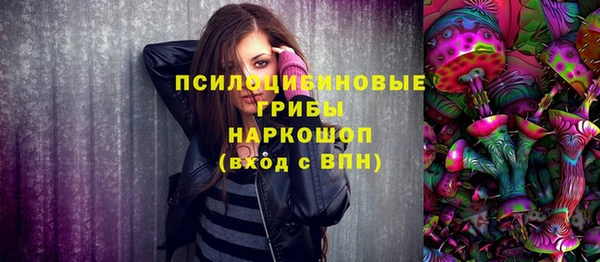 винт Алексин