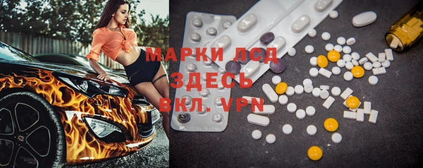 крисы Алзамай