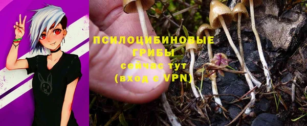 дмт Алексеевка