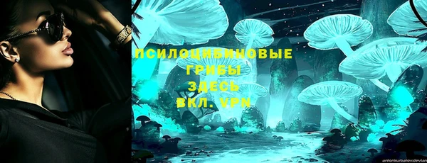 крисы Алзамай