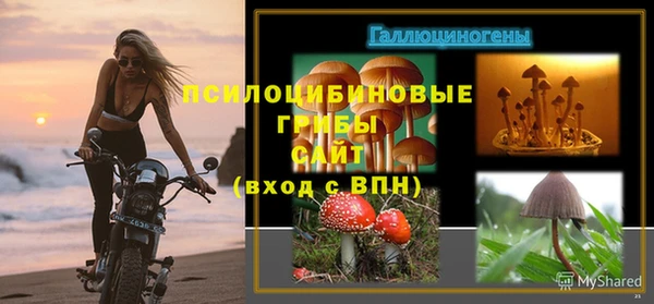 винт Алексин